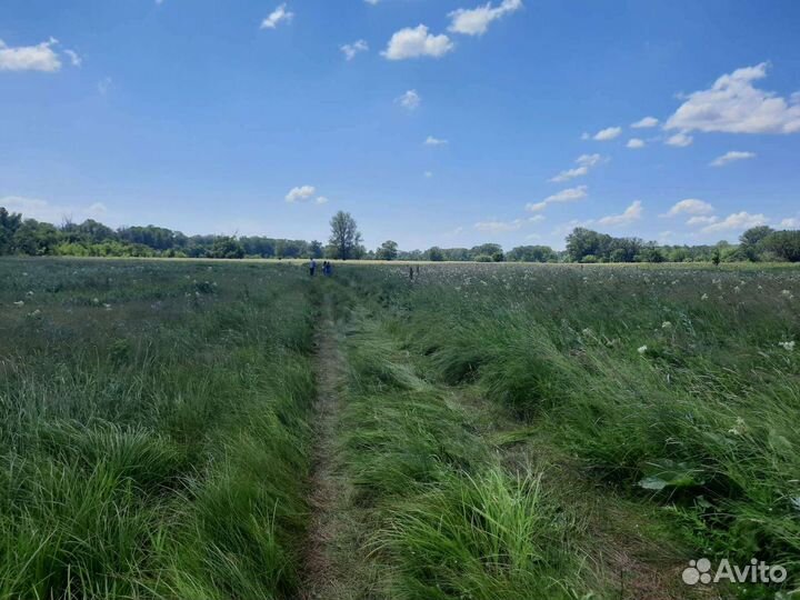 Экскурсия в секретное место силы