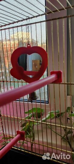 Клетка для попугая бу