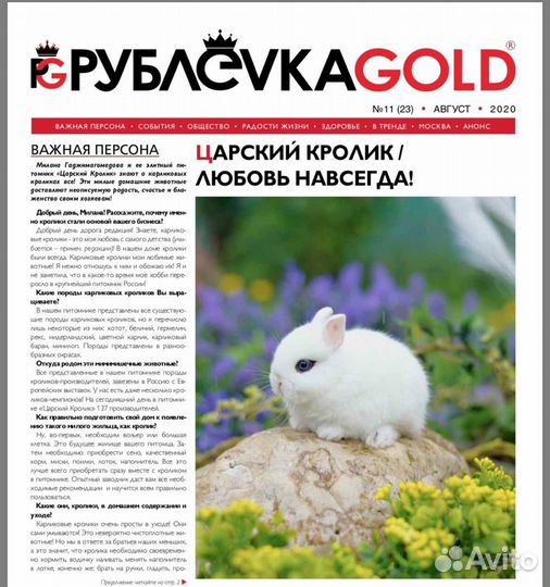 Ручной домашний кролик