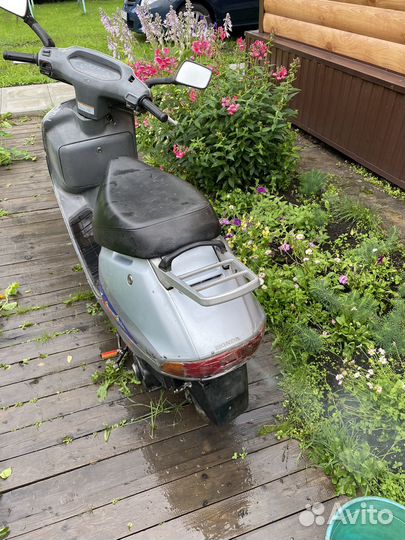 Honda lead 50
