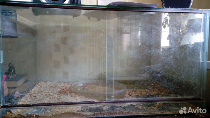 Террариум для змей