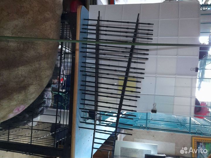 Поддержка для растений