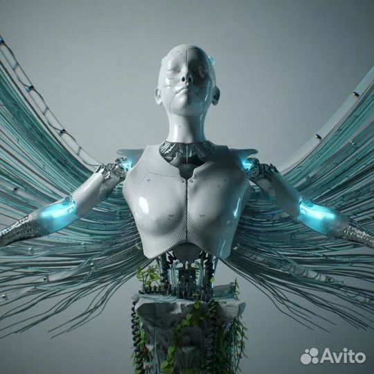 Afterlife Anyma билеты