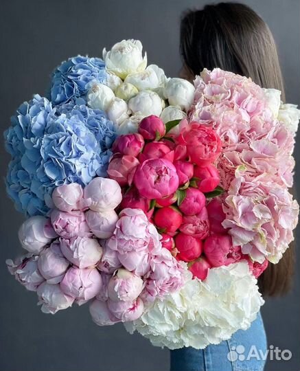 Пионы и гортензии