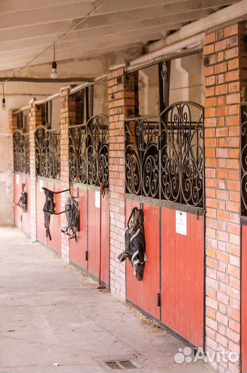 Постой для лошадей