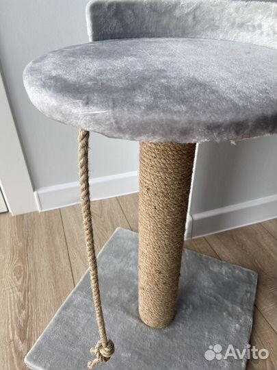 Когтеточка