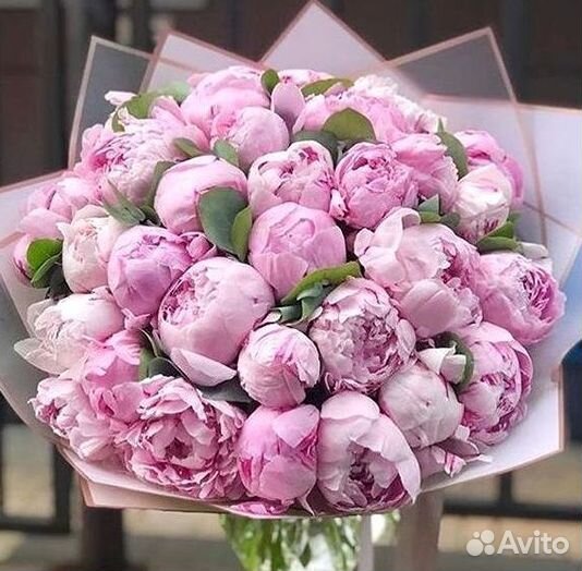 Пионы Букет пионов
