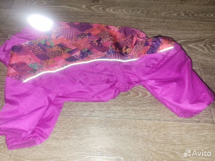 Одежда для средних собак