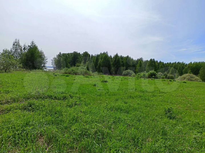 Участок 9,98 га (СНТ, ДНП)