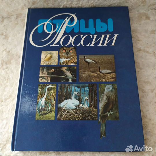 Птицы России