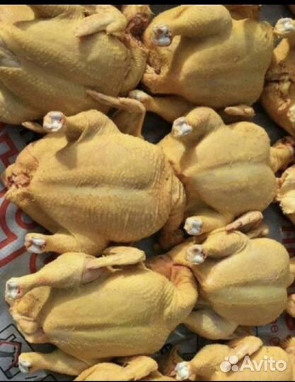 Курица домашняя Халяль