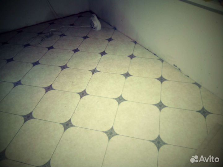 Бригада строителей выполним любые виды работ