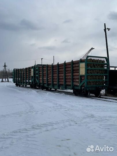 Лес круглый сосна, лиственница, ель
