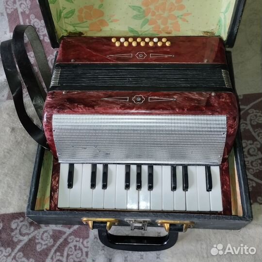 Аккордеон Малыш