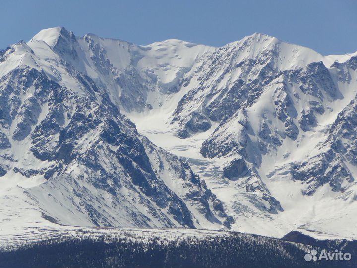 Весенний тур по Алтаю