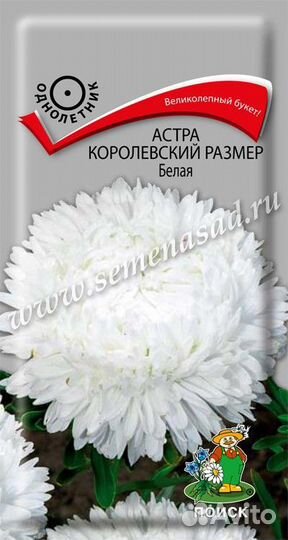 Астра Королевский размер Белая 0,1 гр