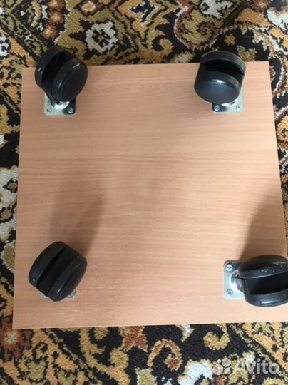 Кодиеум кротон