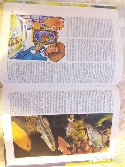 Ловись, рыбка