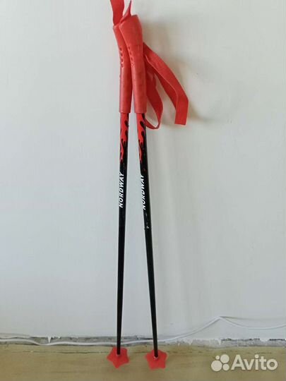 Лыжные палки