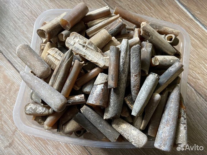 Белемниты на вес