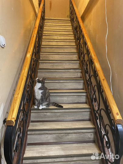 Перила сварные