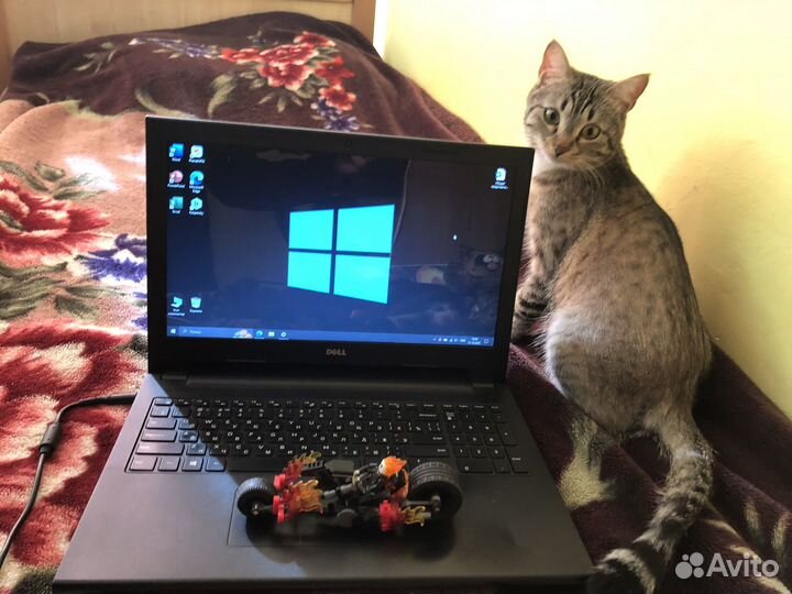 Ноутбук - Dell inspiron 3542