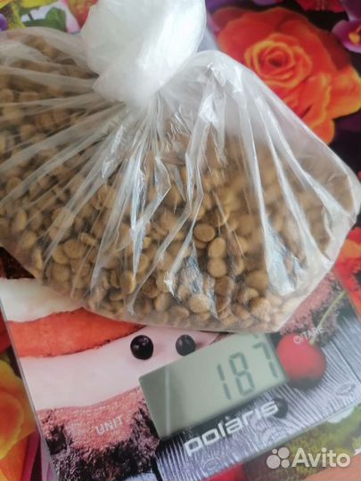 Лоток для кошек (набор)