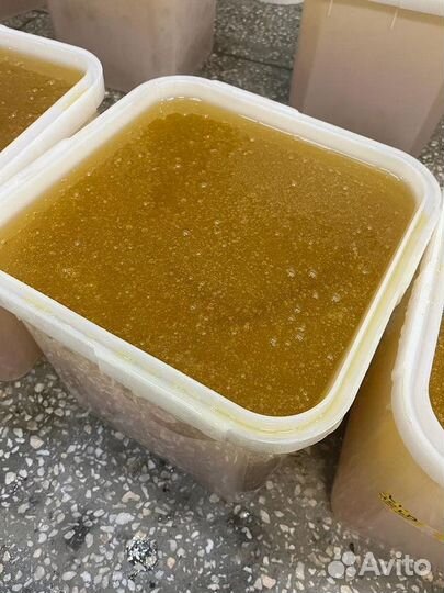 Оптом мед донник