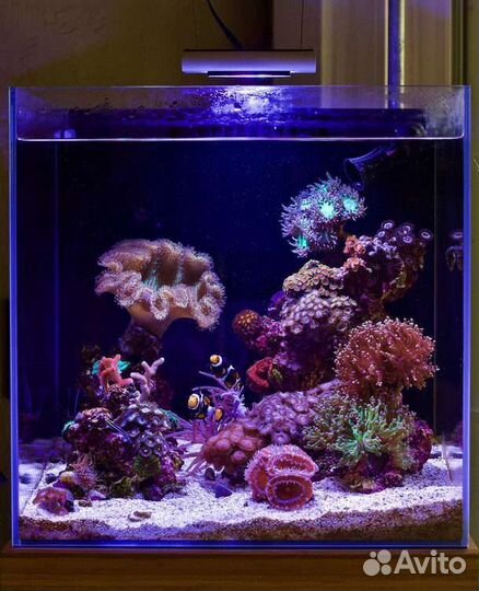 Морской аквариум