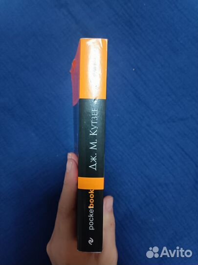 Детство Иисуса, Джон Максвелл Кутзее