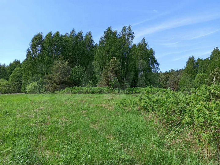 Участок 9,98 га (СНТ, ДНП)