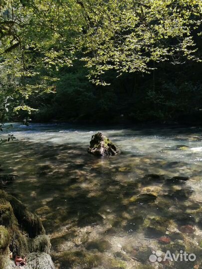 Экскурсии по Сочи и Абхазии