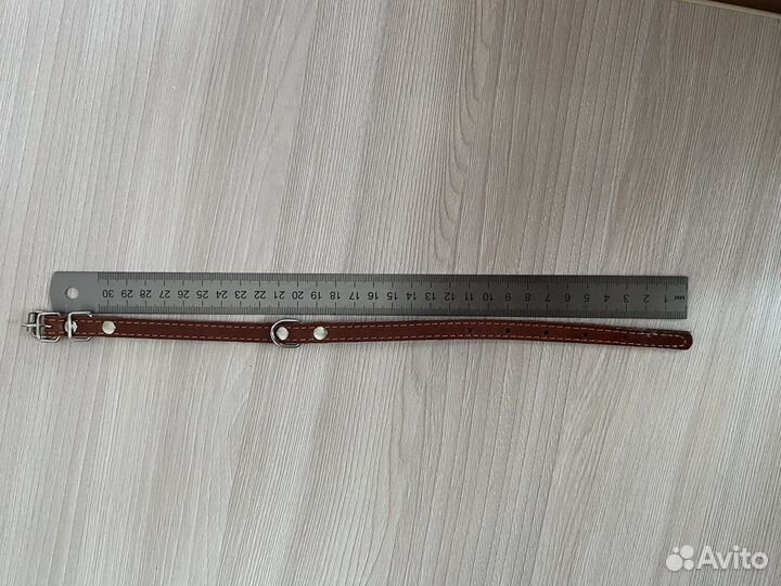 Шапка, ошейник для животных