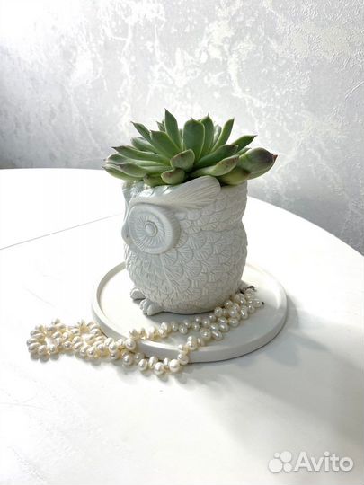 Кашпо из гипса