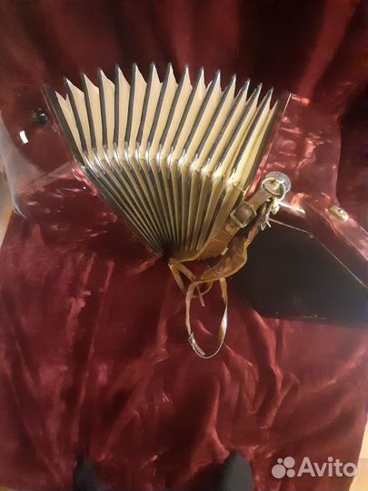 Аккордеон horch