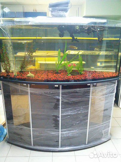 Аквариумы от производителя, оборудование и рыбы до