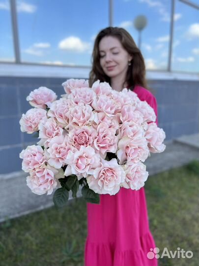 Розы букеты цветы доставка