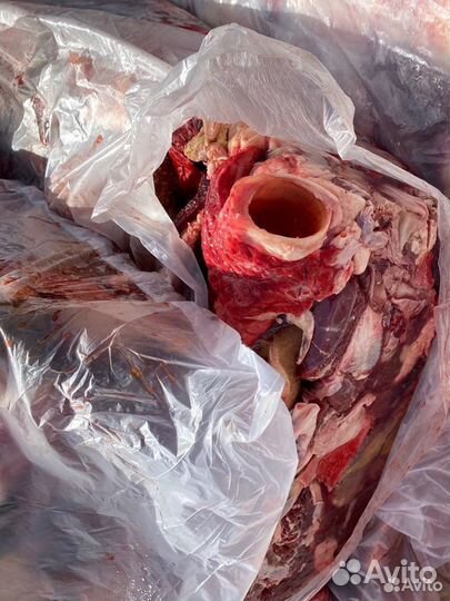 Говяжий ливер для собак(обрезь говяжья)