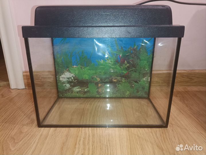 Аквариум 20 литров