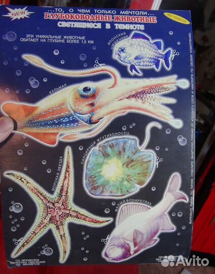 Глубоводные животные - светятся в темноте
