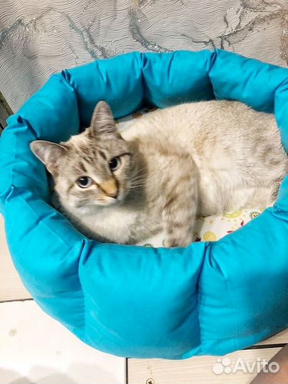 Игрушки буквы