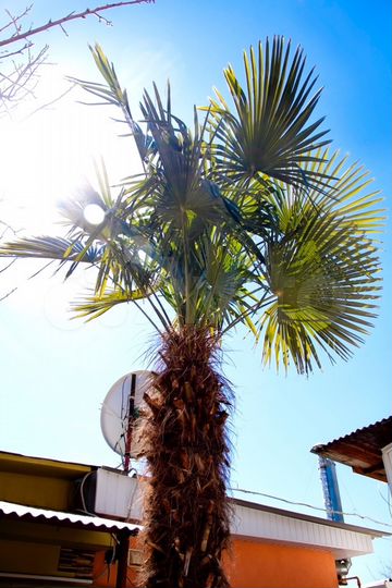 1-к. квартира, 25 м², 2/2 эт.