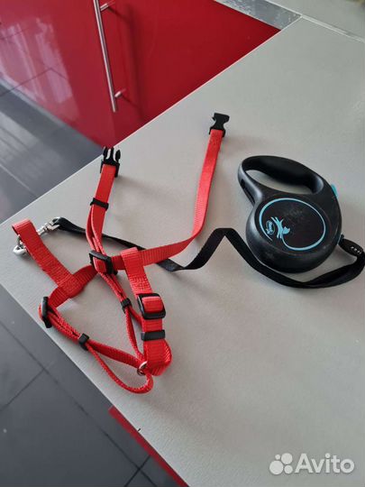 Шлейка для собаки поводком