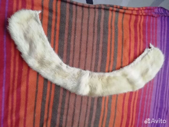 Вооротники из норки