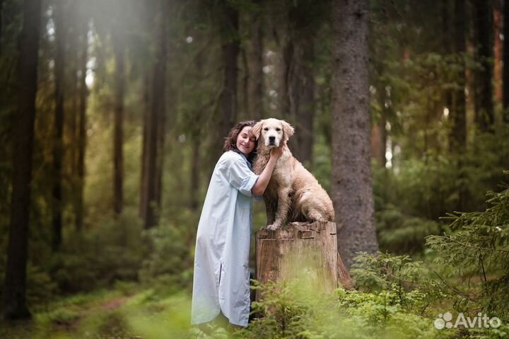 Зоотакси / Выгул