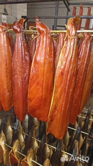 Рыба от местного производителя