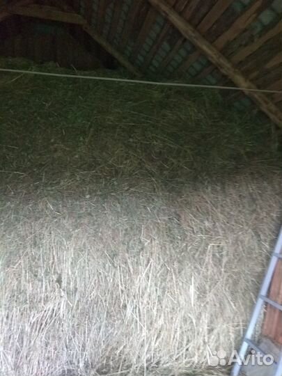Луговое сено