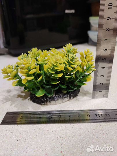 Аквариумные растения искусственные