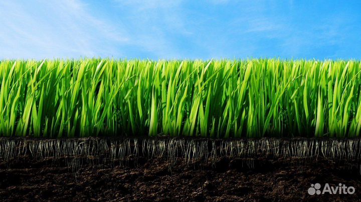 Плодородная земля для посадки, торф,навоз и др