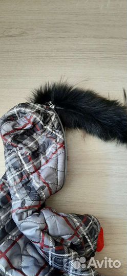 Одежда для собак